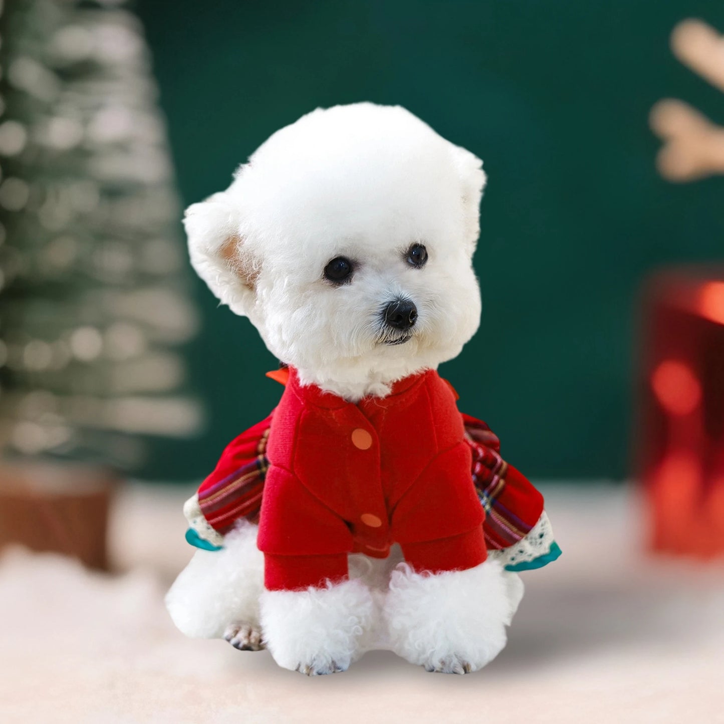 NONECN Christmas Dog Costume Santa Hat Jingle Bell Collar