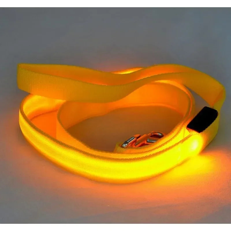 LED Light Up Dog Leash With Flashing Luminous Safety