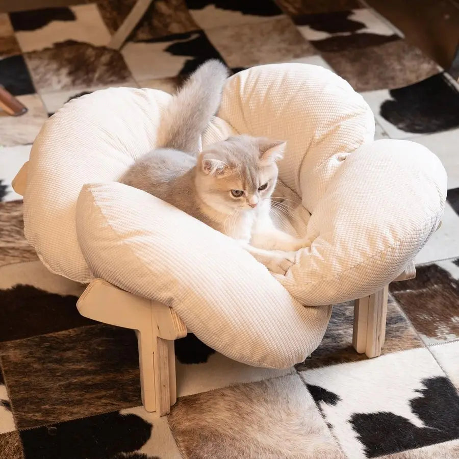 Elevated Cat Bed With Cushion Wooden Frame