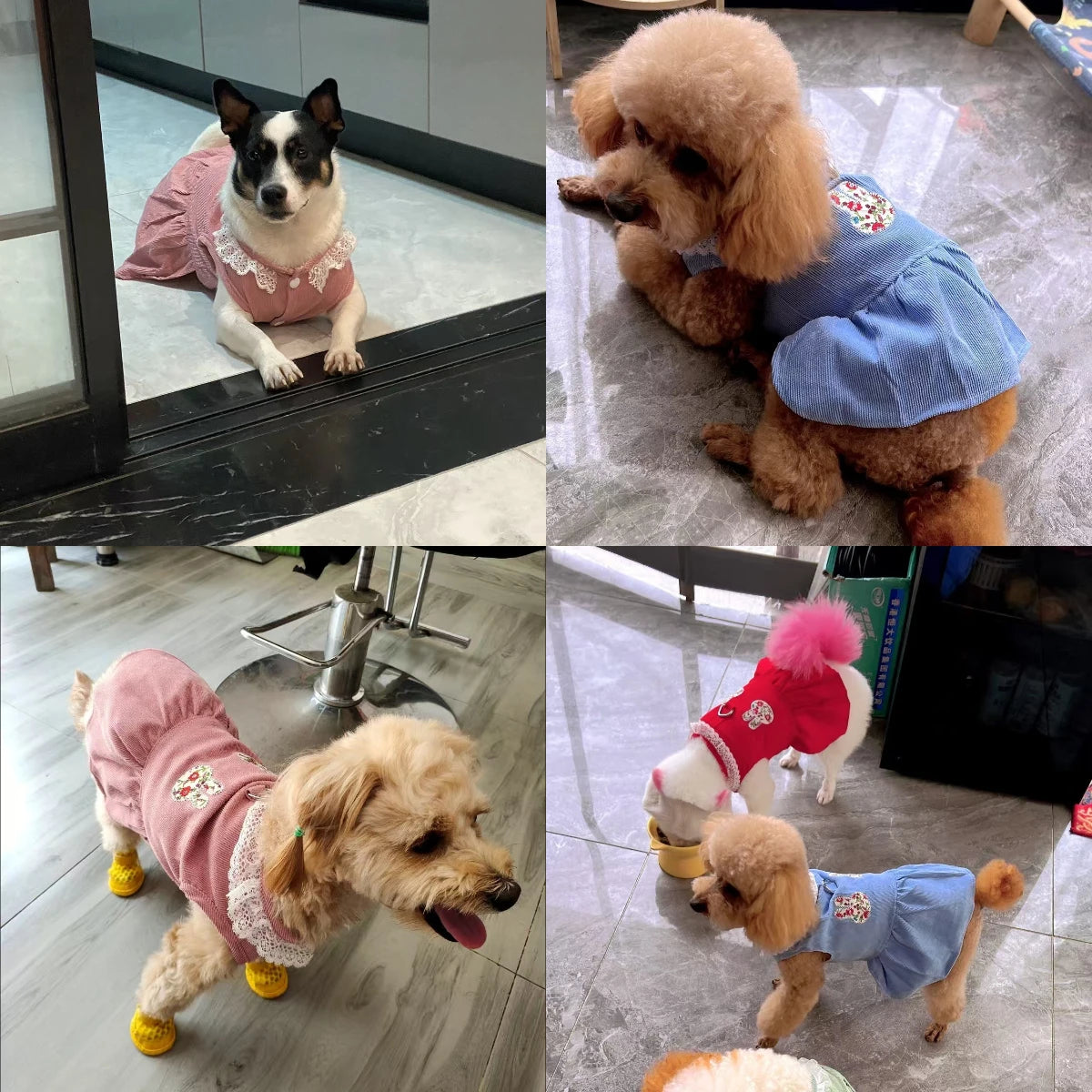 CAIBANCN Pet Dog Dress Cat Princess Wedding Outfit