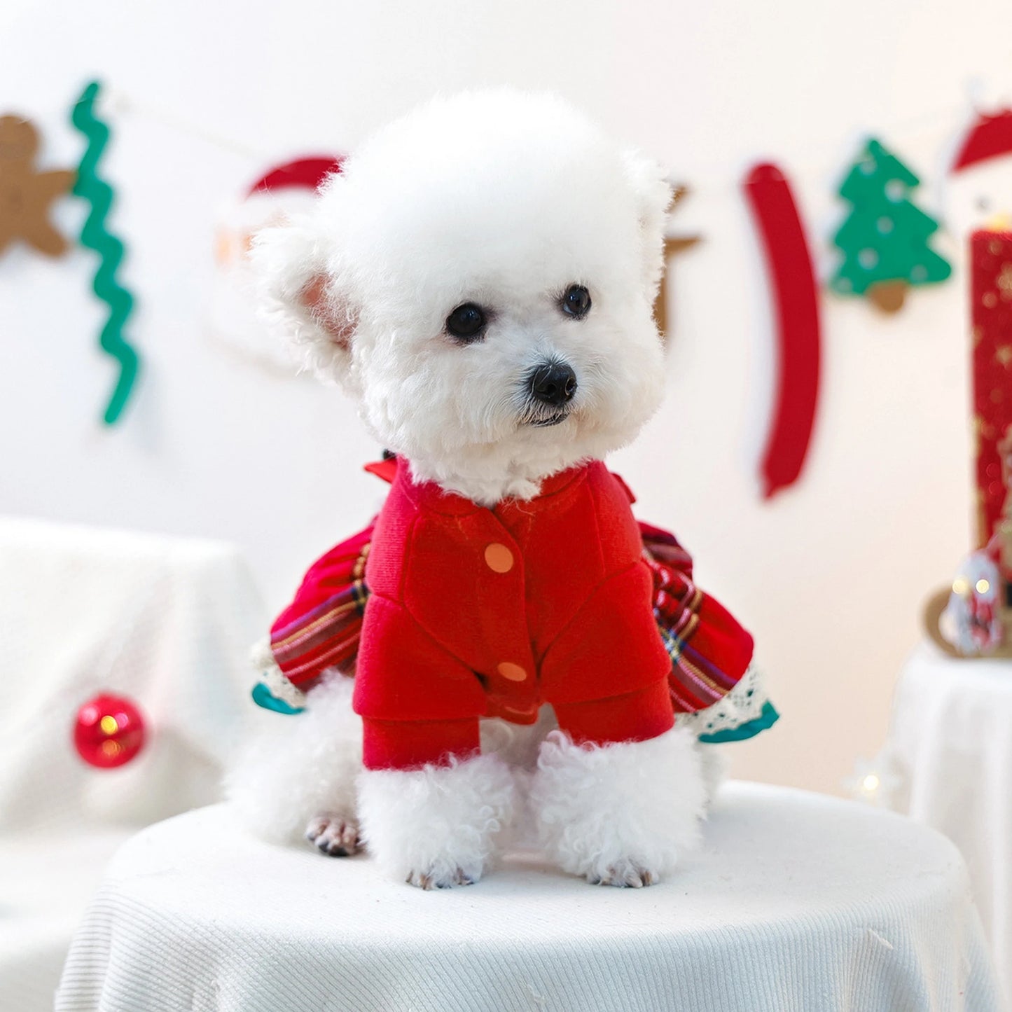 NONECN Christmas Dog Costume Santa Hat Jingle Bell Collar