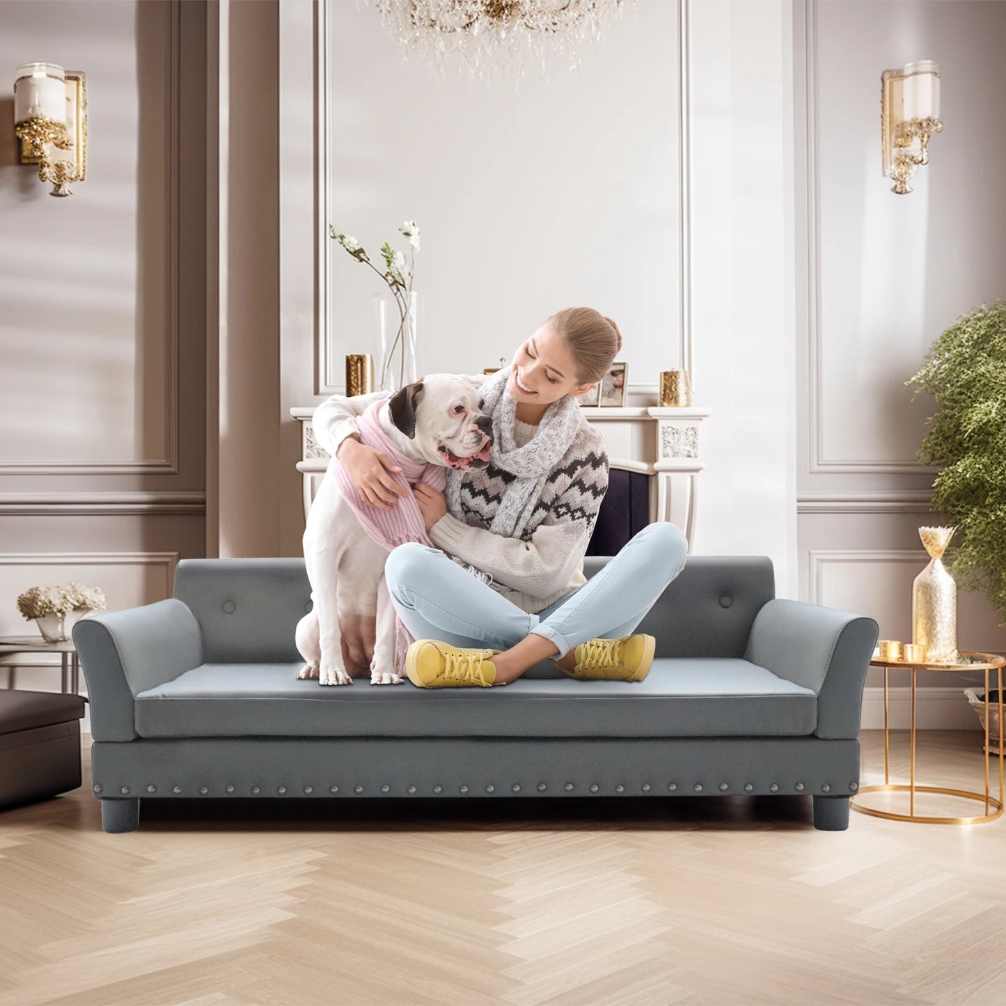 Bingopaw Durable Elevated Rectangle Dog Bed for Living Rooms