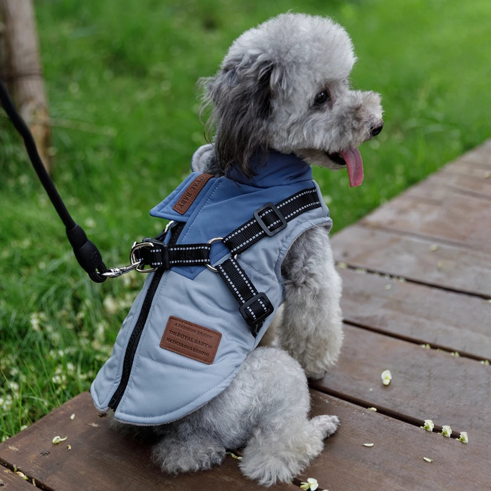 Winter Dog Jacket With Harness Waterproof Coat Labrador