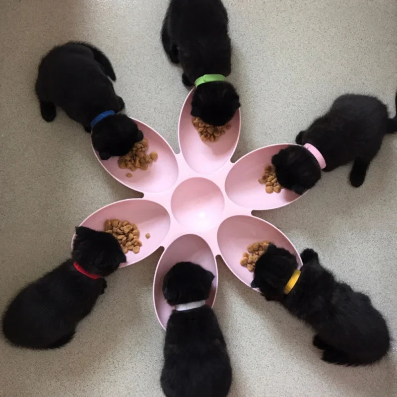 Petal-Shaped 6-In-1 Plastic Feeding Bowl For Dogs And Cats