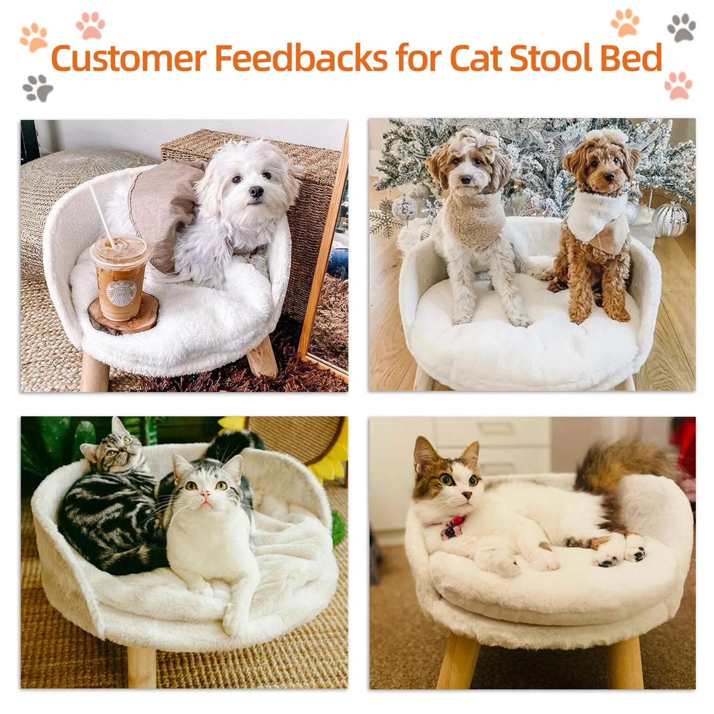 BINGOPAWCN Pet Sofa Bed Raised Cat Chair and Dog Couch