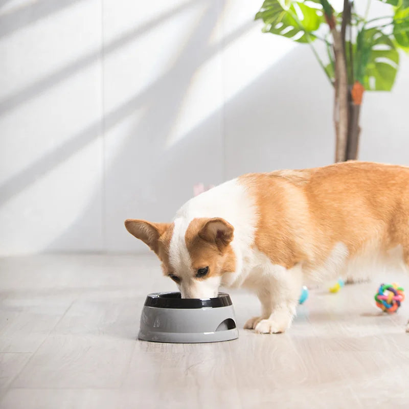 Floating Water Feeder Bowls No Spill Pet Bowls Dogs Cats