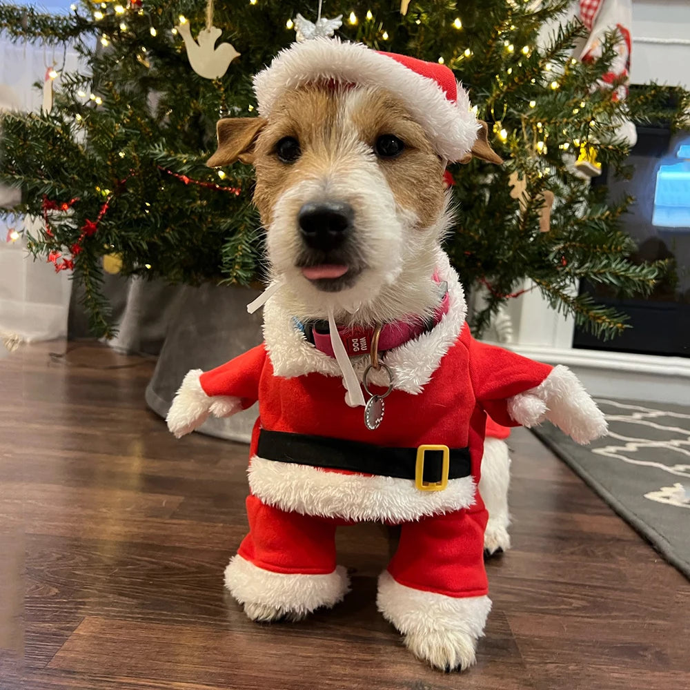 Christmas Santa Dog Costume For Dogs And Cats Pet Outfit