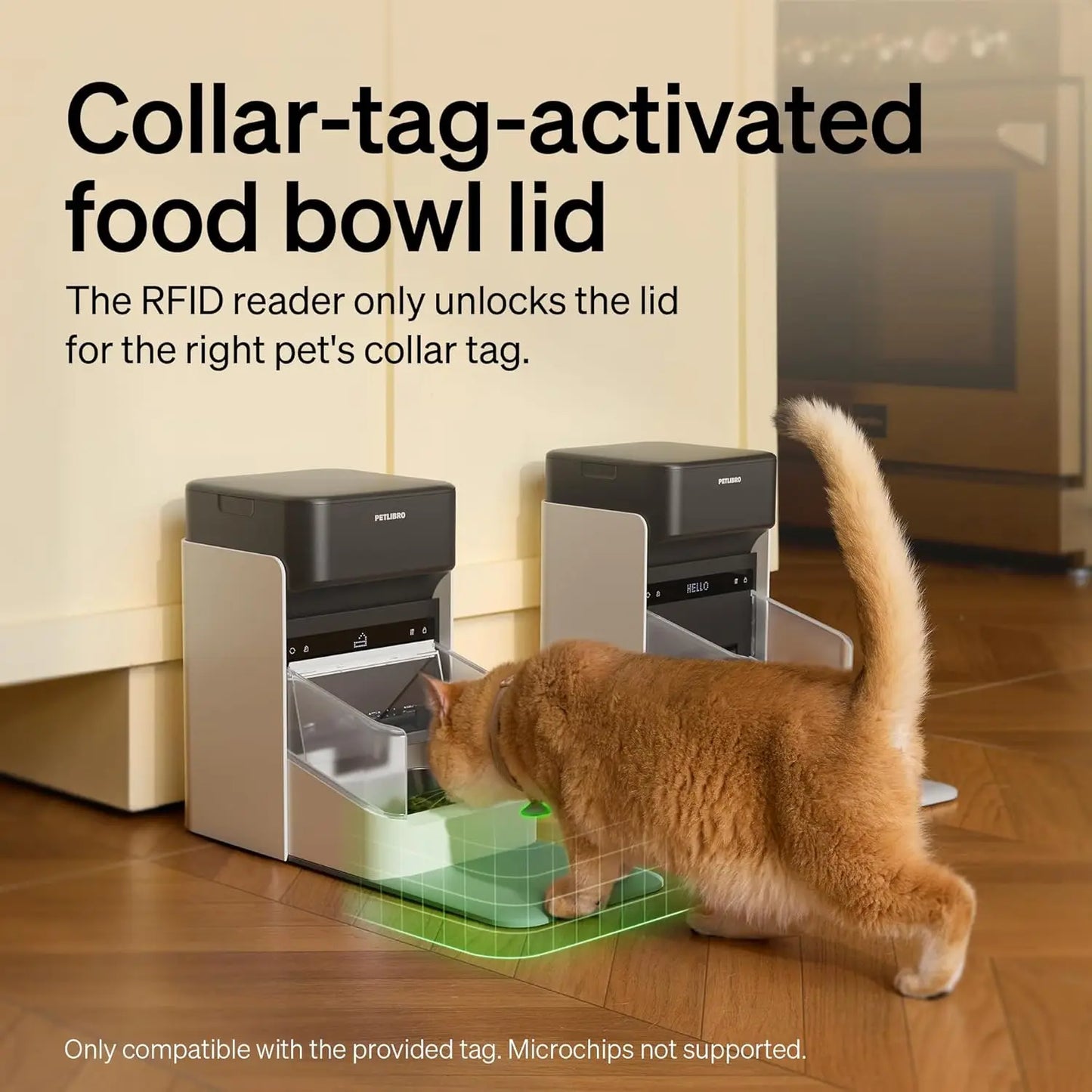 RFID Cat Feeder With Diet Tracking And Anti Theft Lid