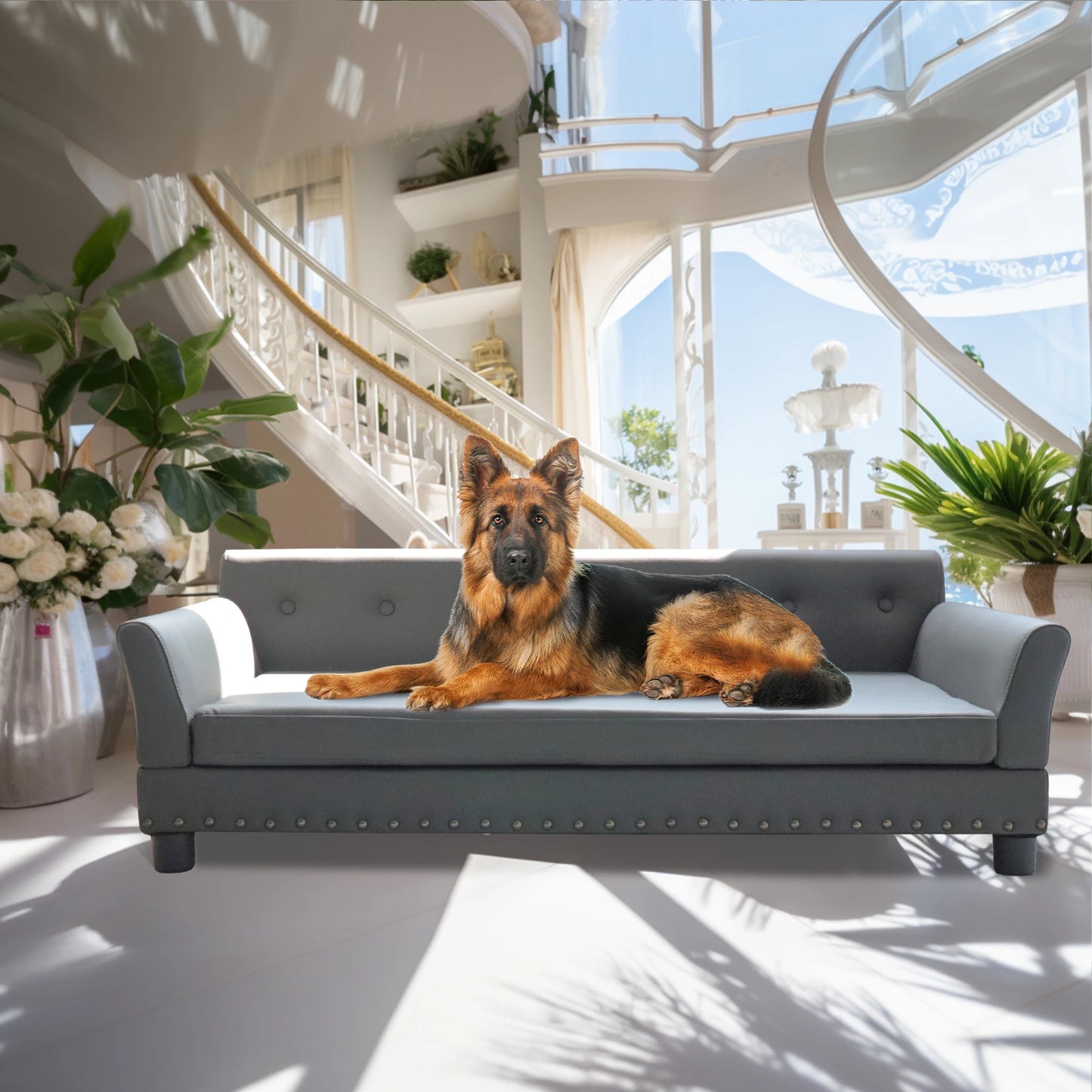 Bingopaw Durable Elevated Rectangle Dog Bed for Living Rooms