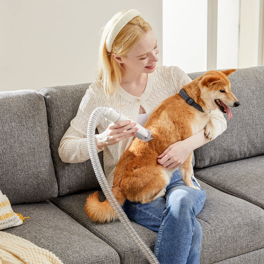 Pet Grooming Vacuum Kit With Cordless Clippers 3 Suction Modes 5 Tools