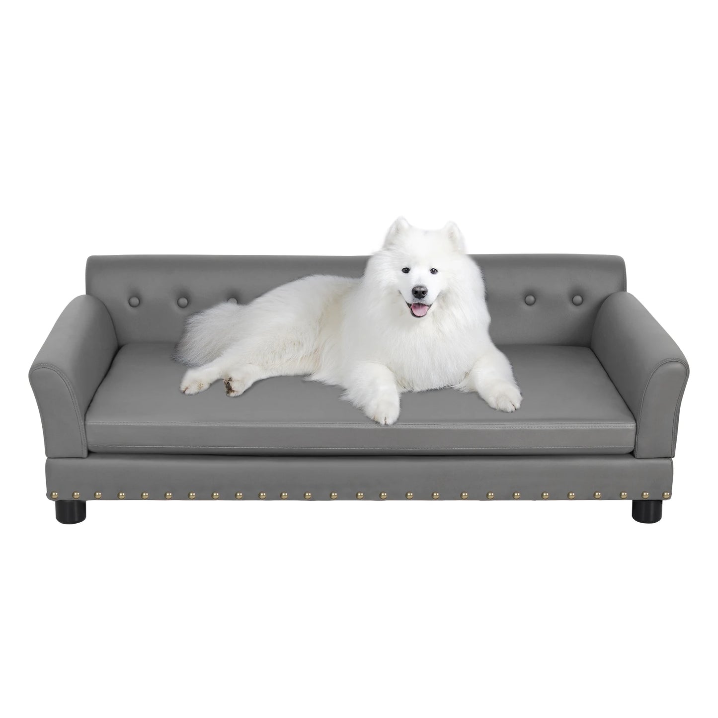 Bingopaw Durable Elevated Rectangle Dog Bed for Living Rooms