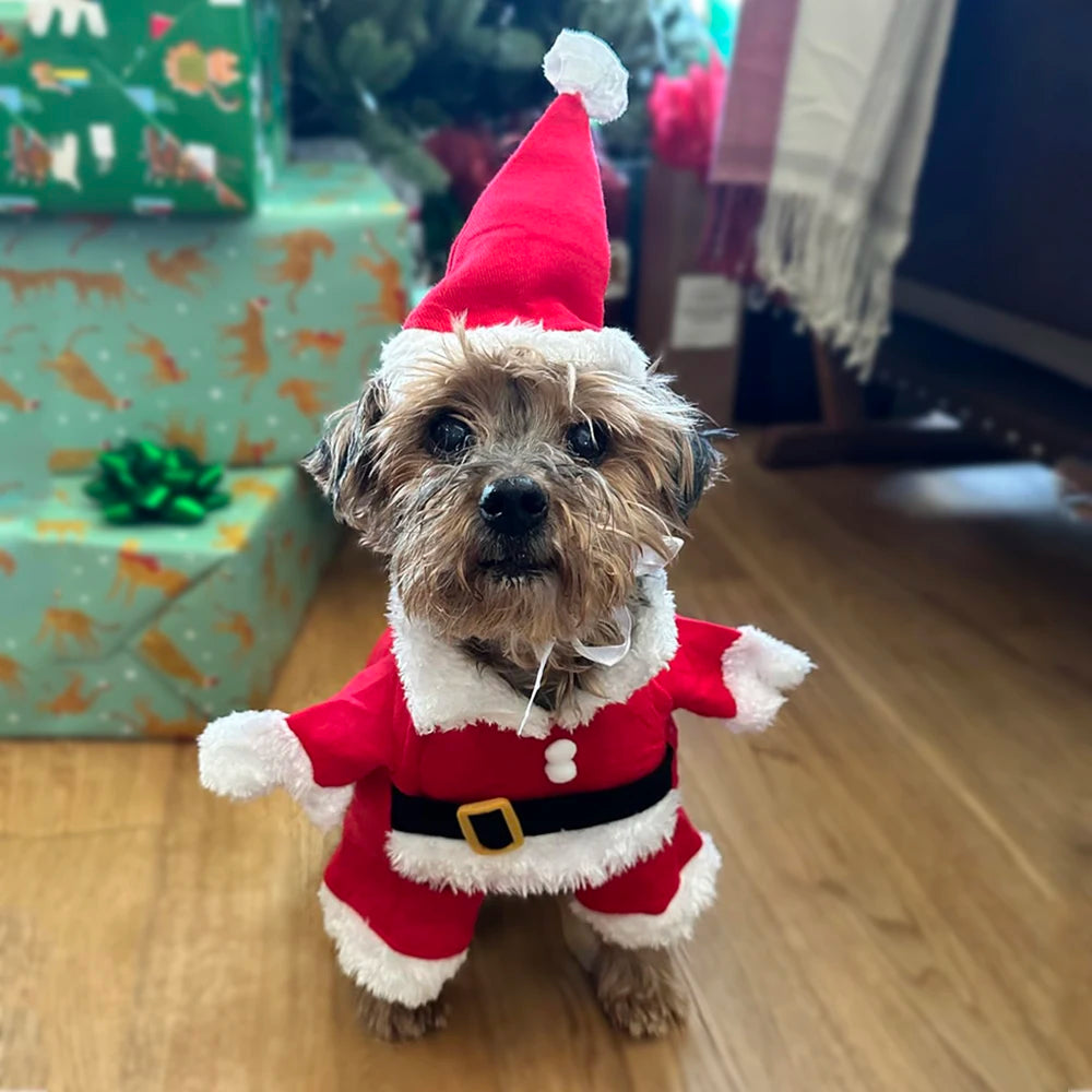 Christmas Santa Dog Costume For Dogs And Cats Pet Outfit