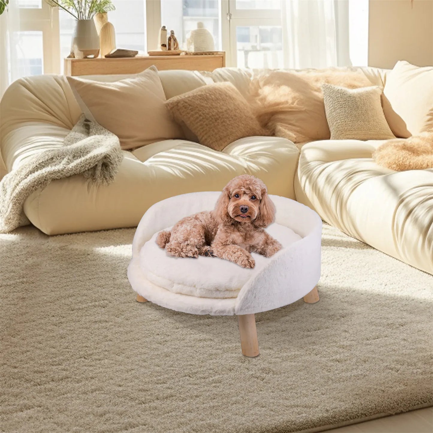 BINGOPAWCN Pet Sofa Bed Raised Cat Chair and Dog Couch