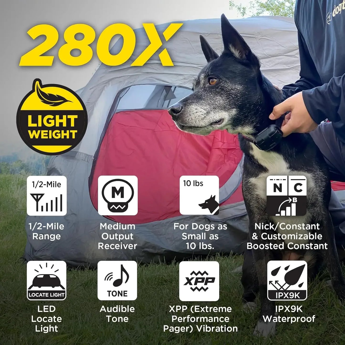 280X E Collar With Remote For Stubborn Dogs Waterproof LED
