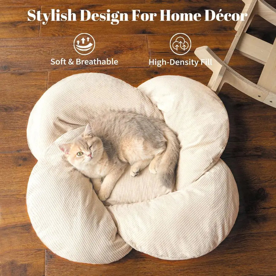 Elevated Cat Bed With Cushion Wooden Frame