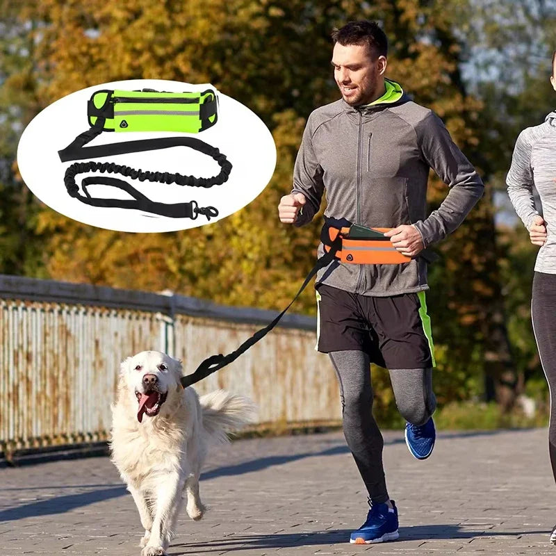 Hands Free Reflective Dog Leash With Waist Bag Retractable Belt