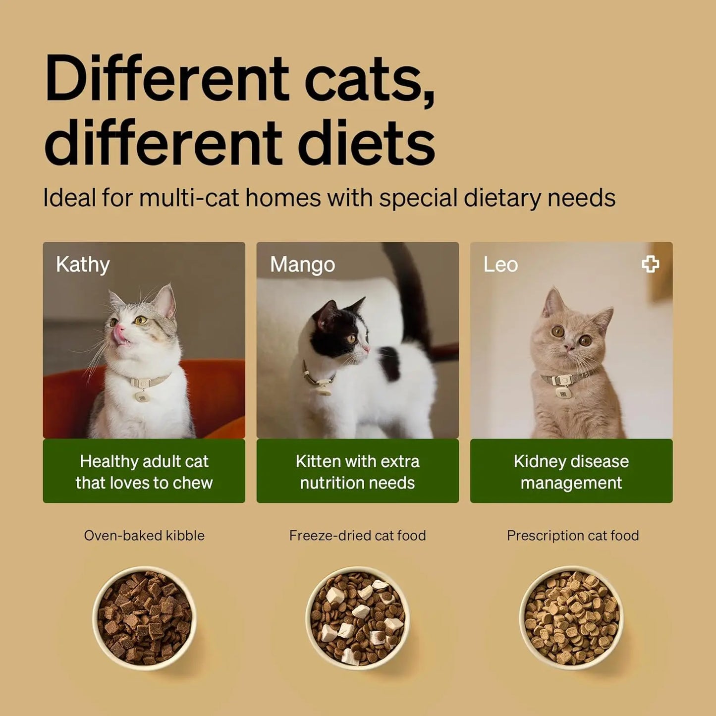 RFID Cat Feeder With Diet Tracking And Anti Theft Lid