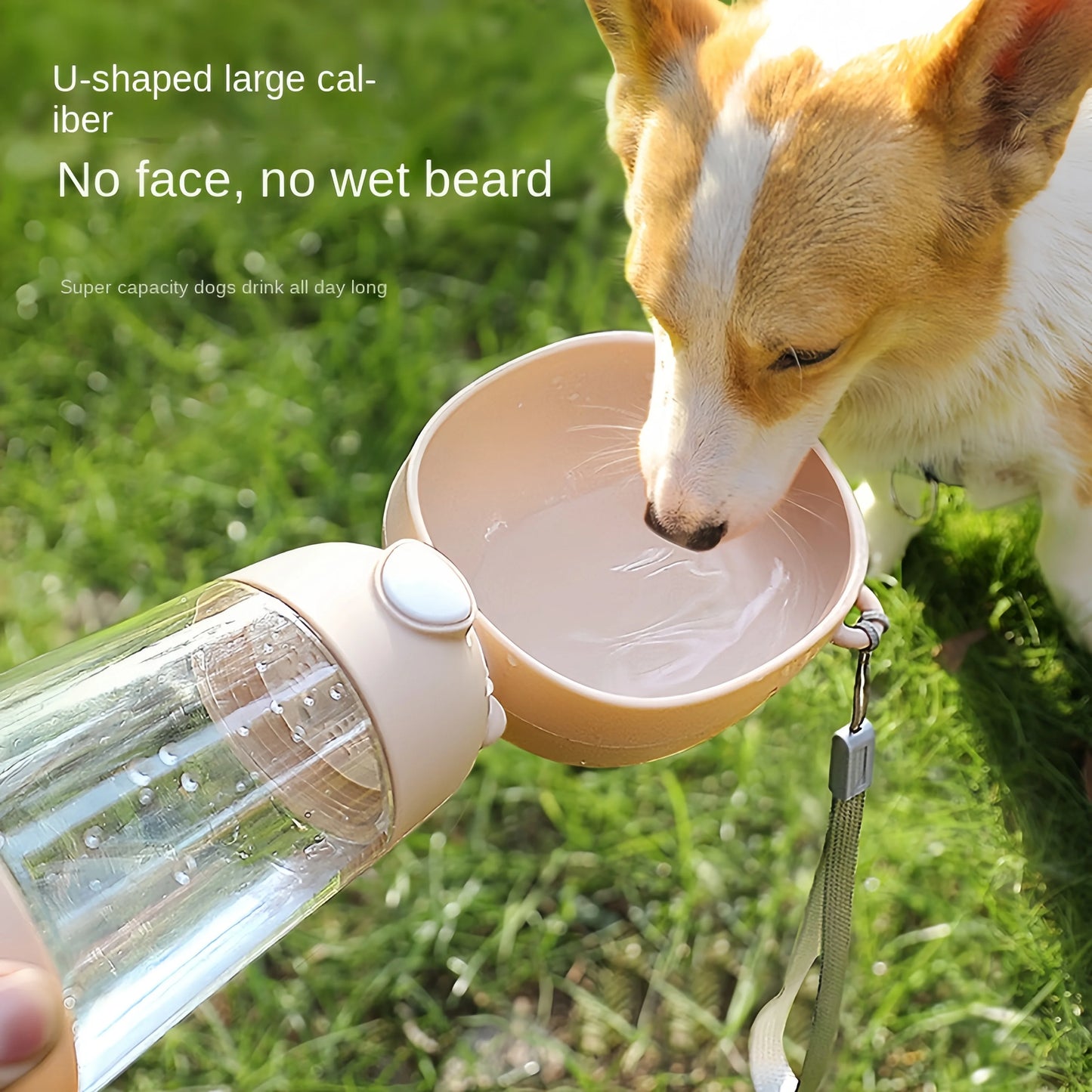 Portable Dog Water Bowl With Food Dispenser For Travel Pets