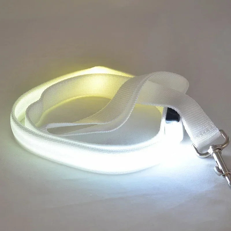 LED Light Up Dog Leash With Flashing Luminous Safety