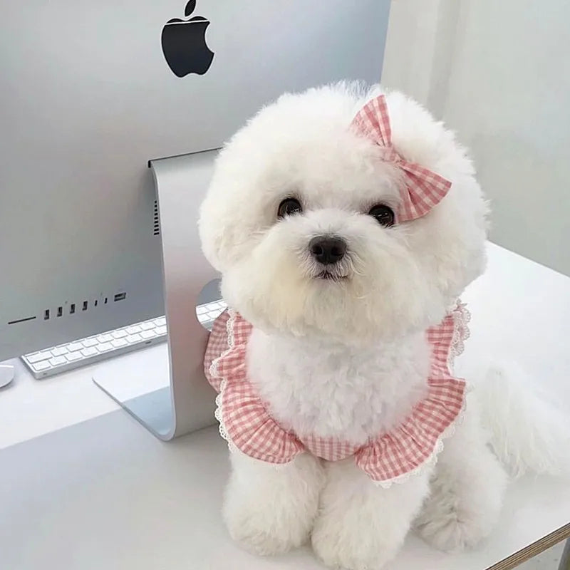 NONECN Plaid Lace Dog Dress Wearable for Pets All Seasons