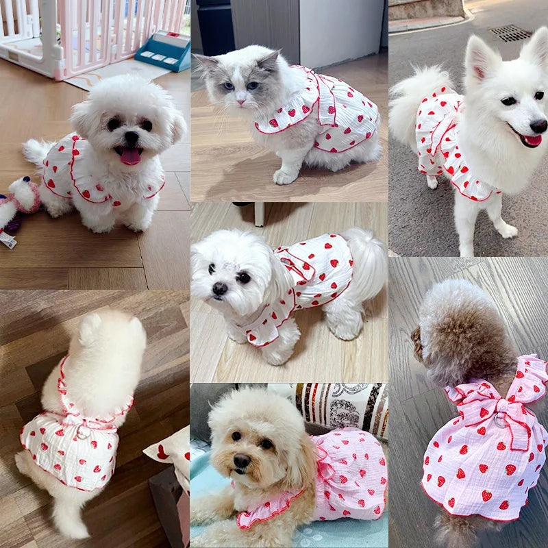 Summer Strawberry Print Bowknot Pet Dress For Cats And Dogs