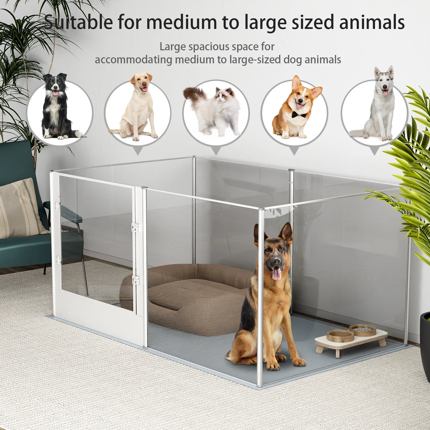 BINGOPAW Acrylic Dog Playpen Fence, 6 Panels Heavy Duty Kennels