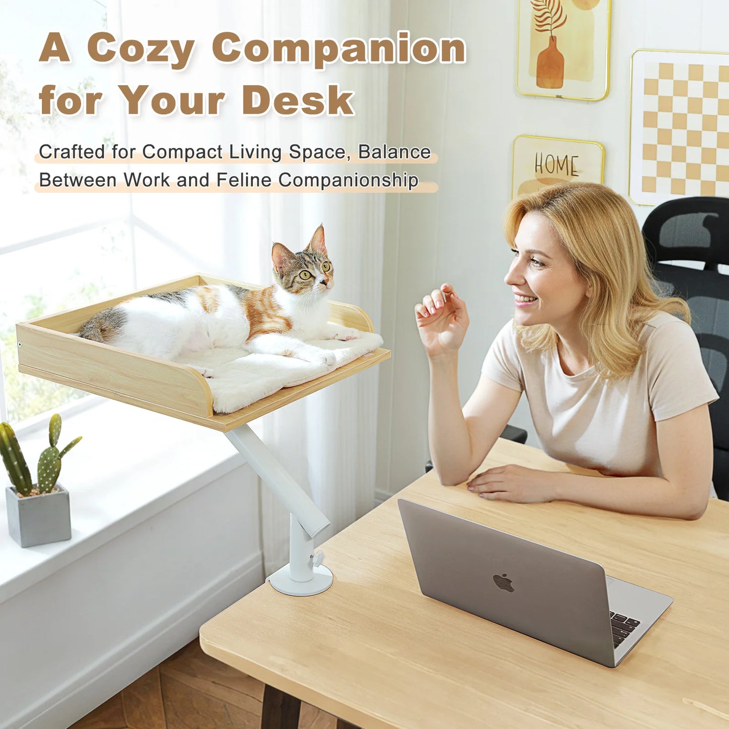 PAWZ Road Cat Desk Bed 360 Rotatable Hammock