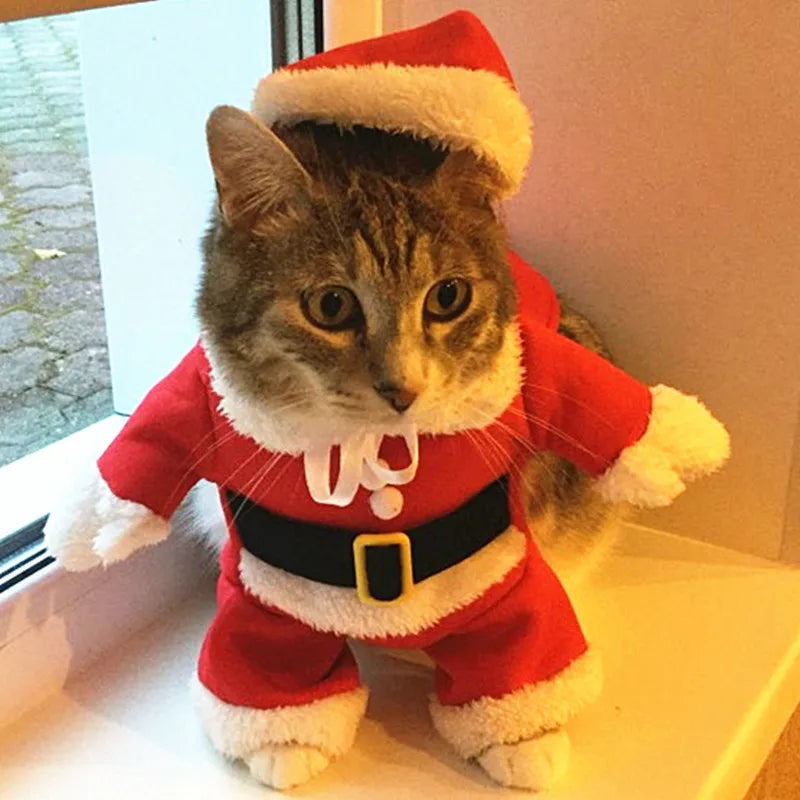 Christmas Santa Dog Costume For Dogs And Cats Pet Outfit