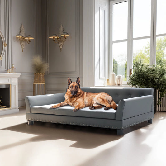 Bingopaw Durable Elevated Rectangle Dog Bed for Living Rooms