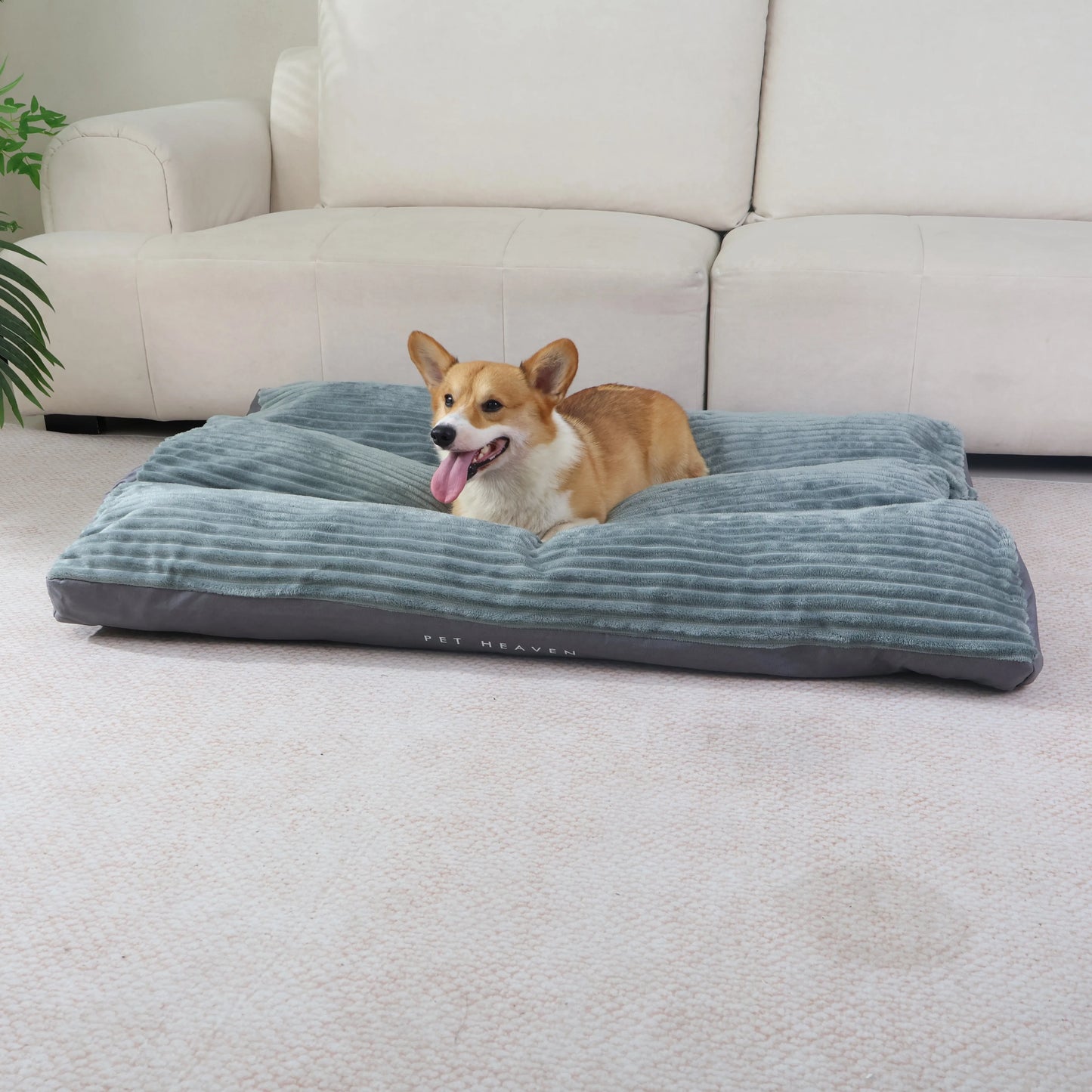 NONECN Deluxe Dog Bed Kennel Anti Bite Dirt Resistant