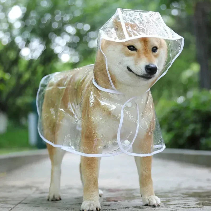 Waterproof Hooded Dog Raincoat For Small Dogs Puppy Poncho