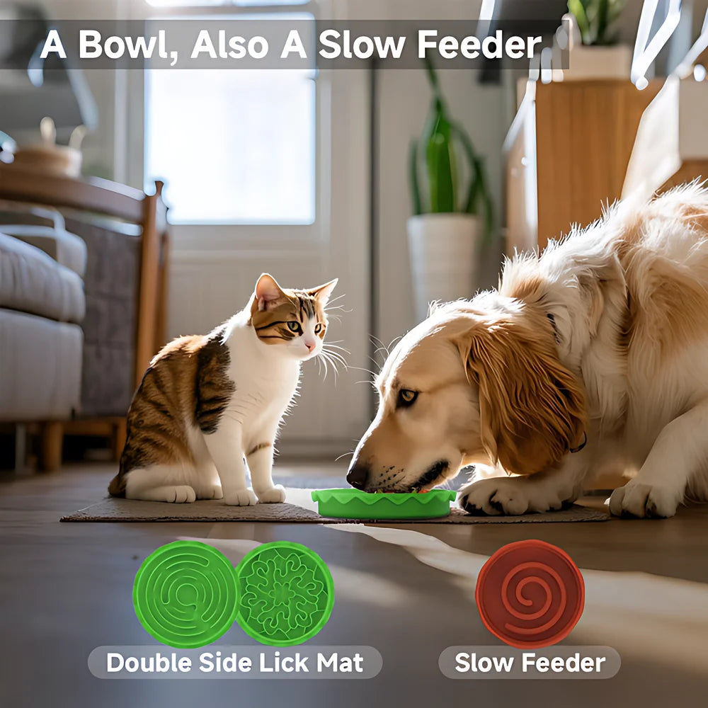 5 In 1 Burger Pet Bowls Set Tilted Elevated Slow Feeder Lick Mat Non Slip