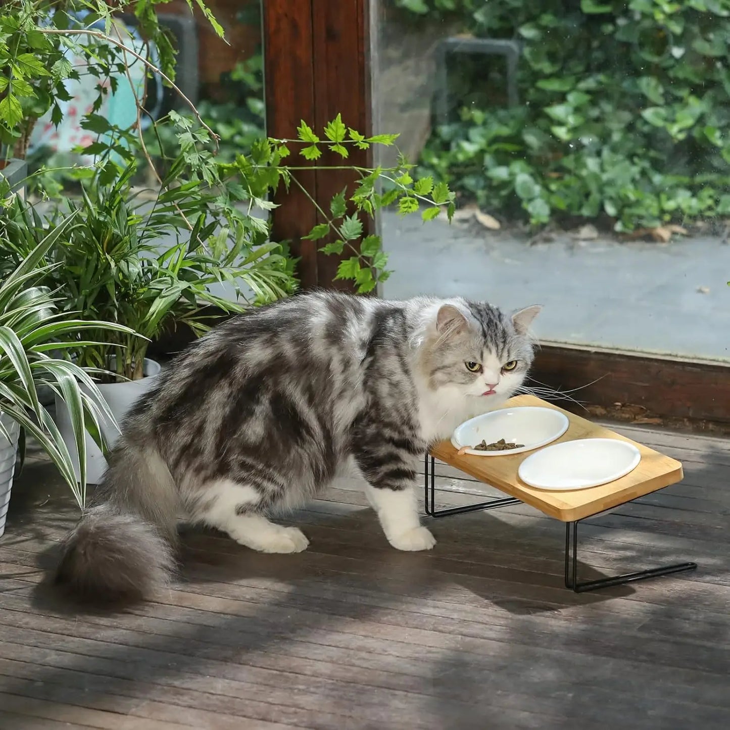 Tilted Raised Cat Ceramic Bowls With Premium Bamboo Stand