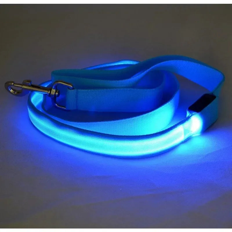 LED Light Up Dog Leash With Flashing Luminous Safety