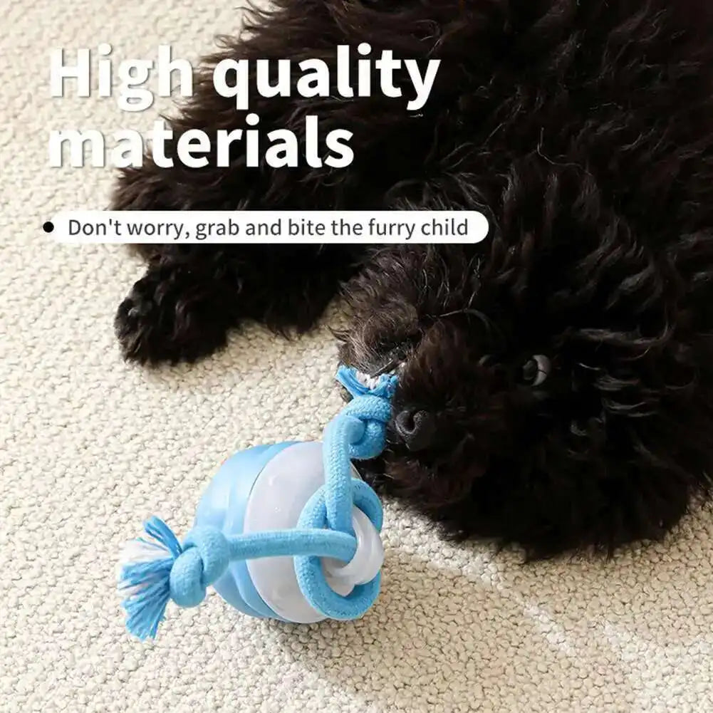 Interactive Rolling Ball Dog Toy With Rope Motion Activated Squeaker
