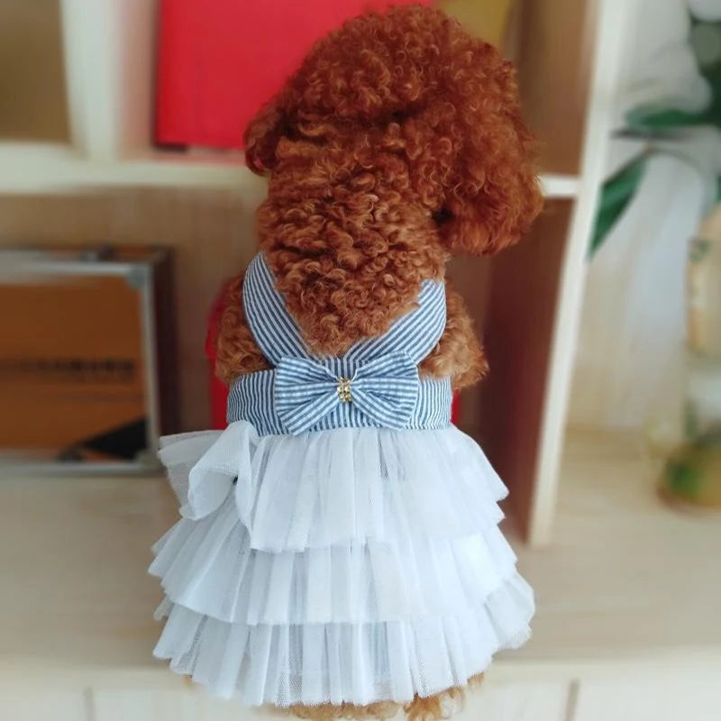 Dog Summer Dress Lace Stripe Skirt Pet Clothing