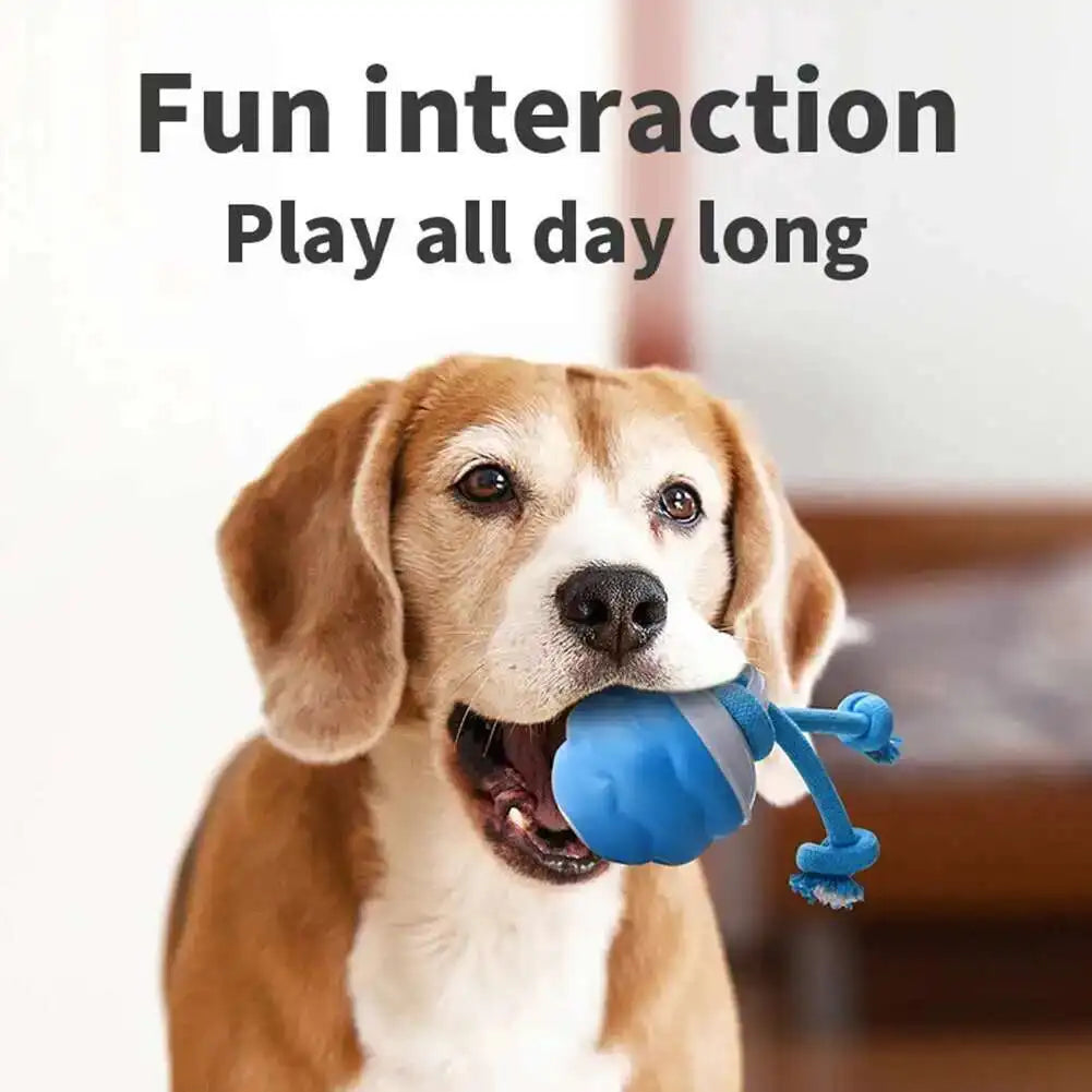 Interactive Rolling Ball Dog Toy With Rope Motion Activated Squeaker