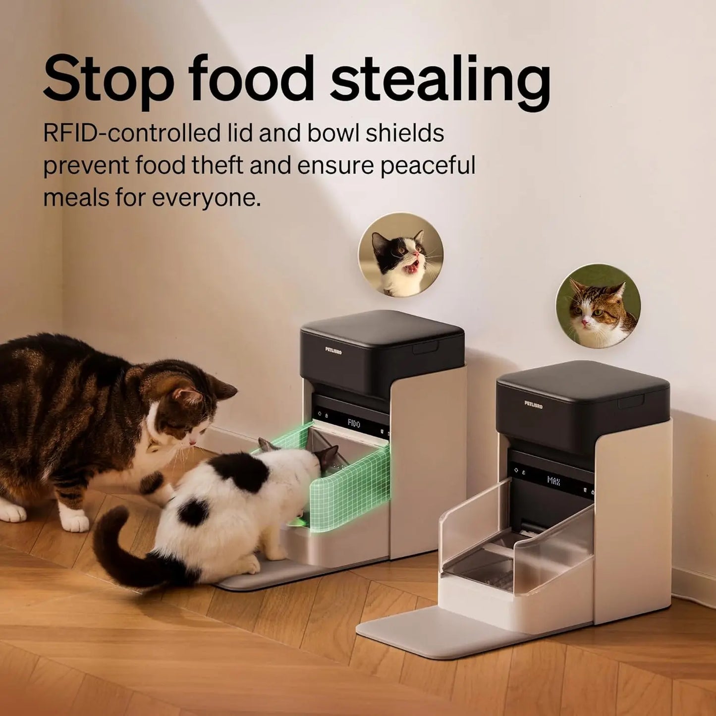 RFID Cat Feeder With Diet Tracking And Anti Theft Lid