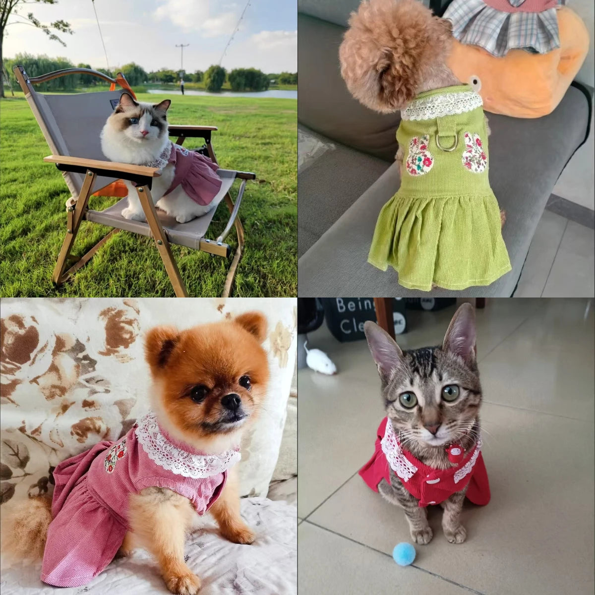 CAIBANCN Pet Dog Dress Cat Princess Wedding Outfit