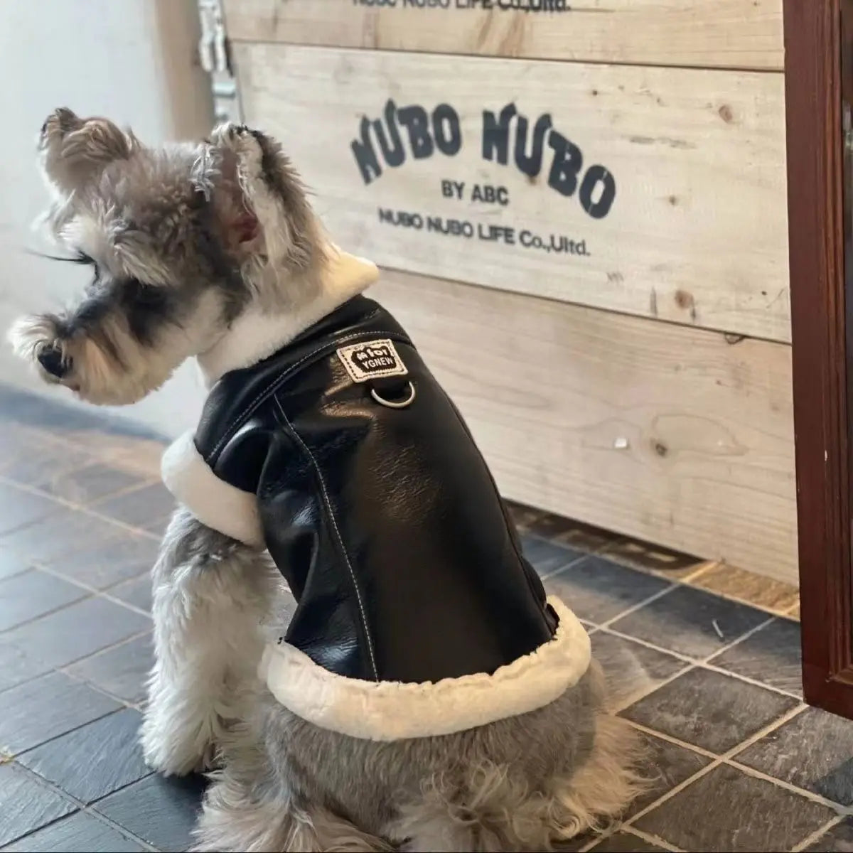 Pet Padded Vest for Dogs Winter Warmth Coat with Buckle