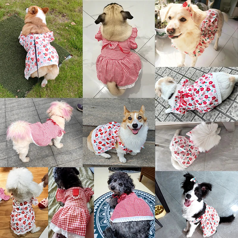 Floral Summer Dog Dress With Plaid Skirt