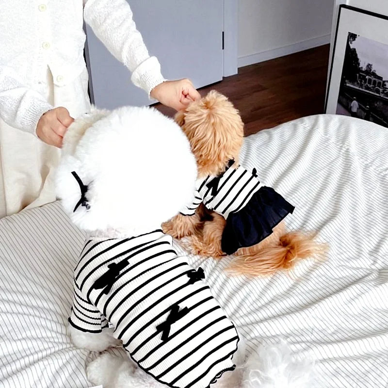 Doggyzstyle Luxury Bow Dress For Dogs Striped Print