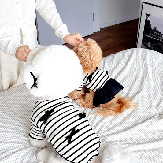 Doggyzstyle Luxury Bow Dress For Dogs Striped Print