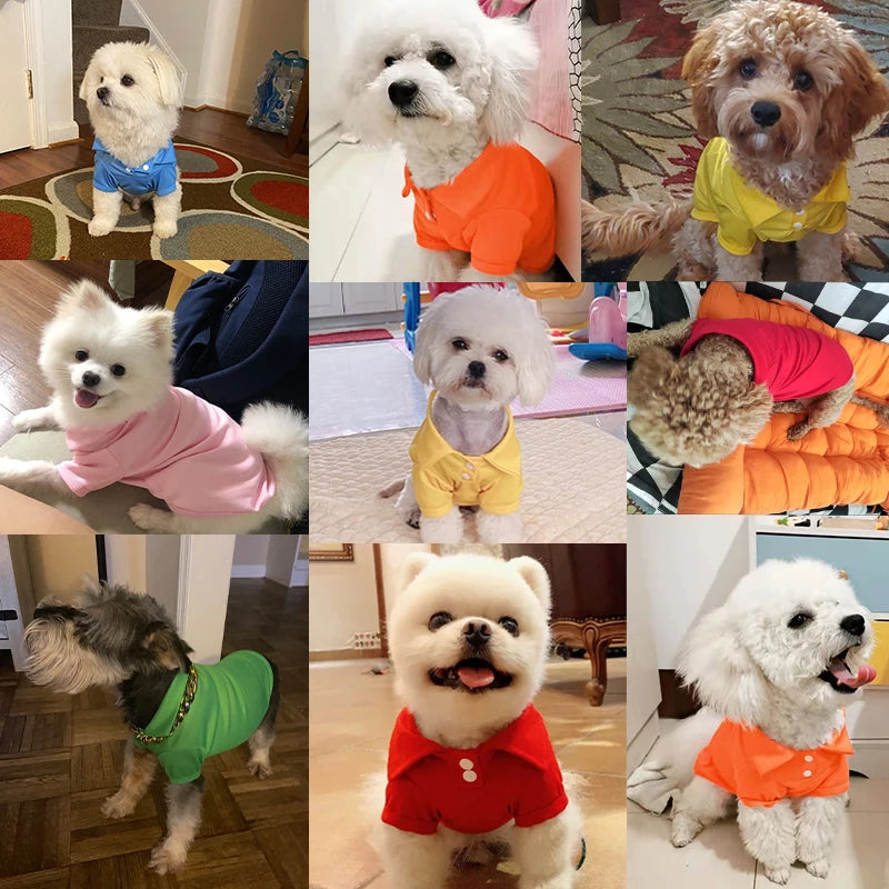 Doggyzstyle Spring Dog Shirts Breathable Polo Collar Vest For Dogs