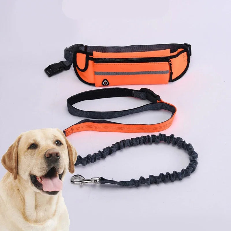 Hands Free Reflective Dog Leash With Waist Bag Retractable Belt