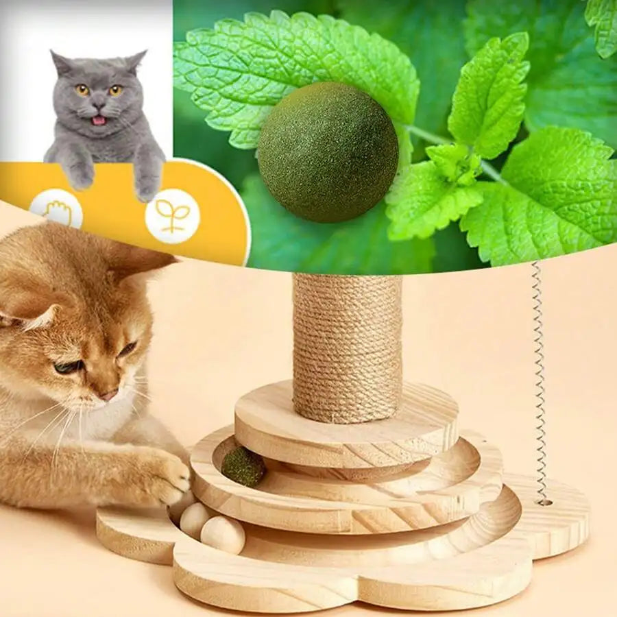 4 In 1 Interactive Toy With Scratch Pole Teaser Stick