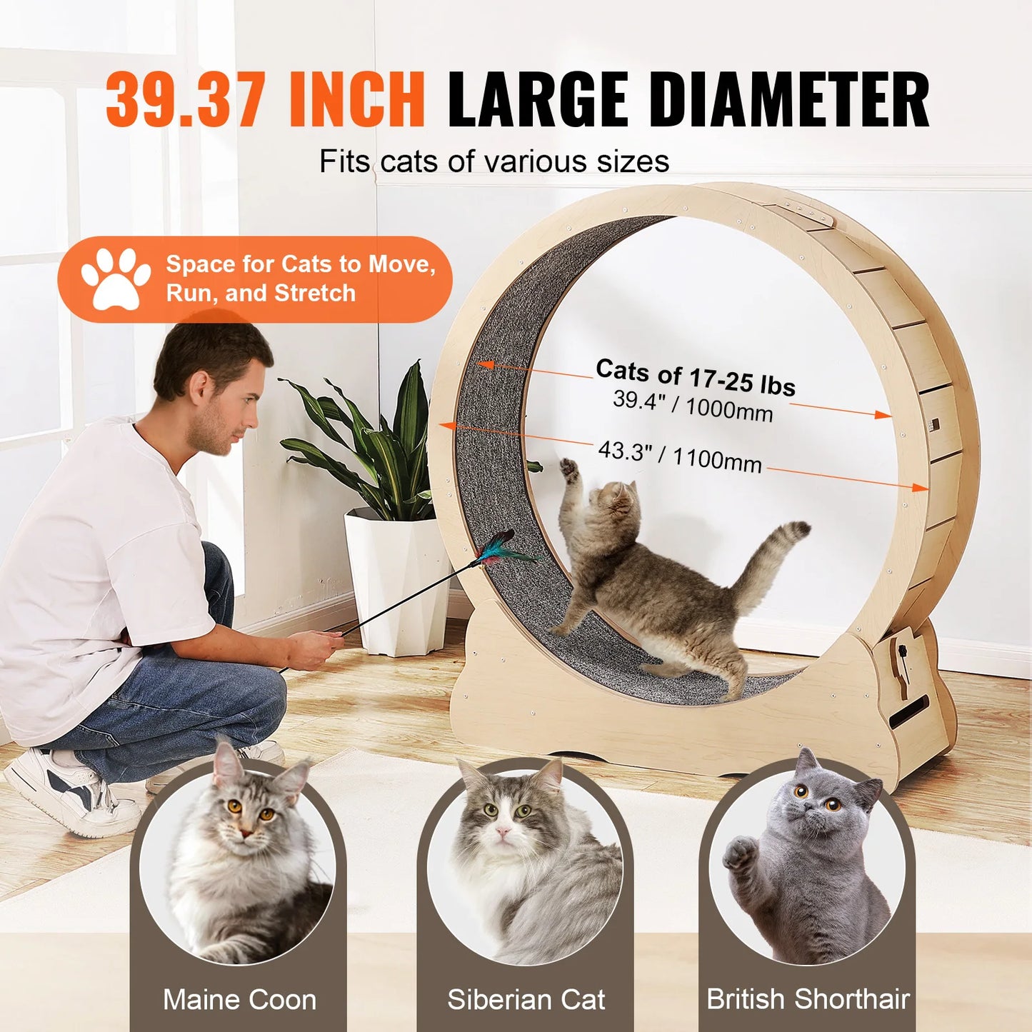 Wooden Cat Exercise Wheel For Indoor Cats Detachable Carpet Teaser