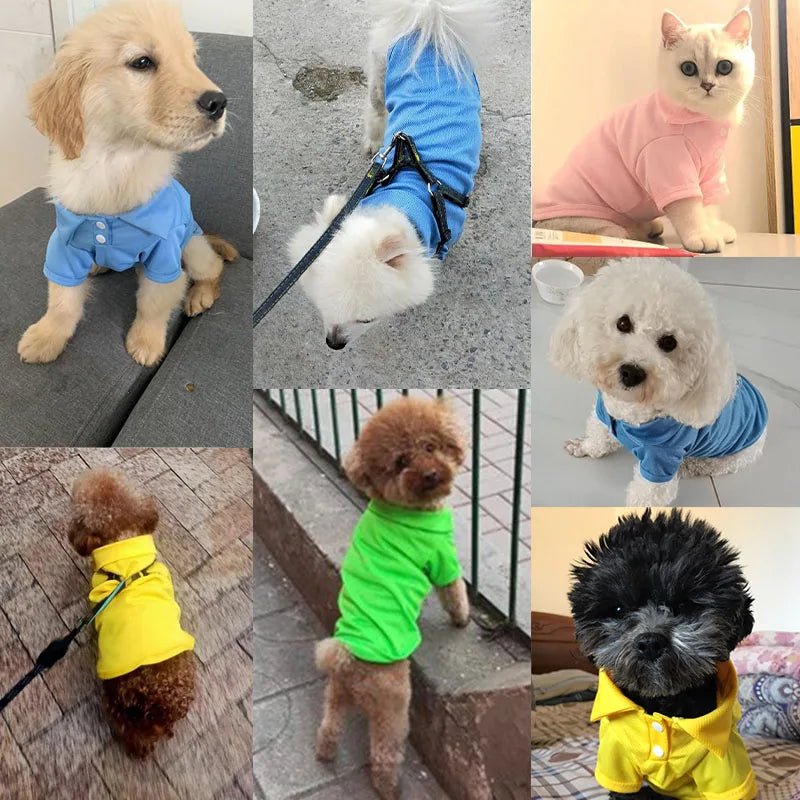 Doggyzstyle Spring Dog Shirts Breathable Polo Collar Vest For Dogs