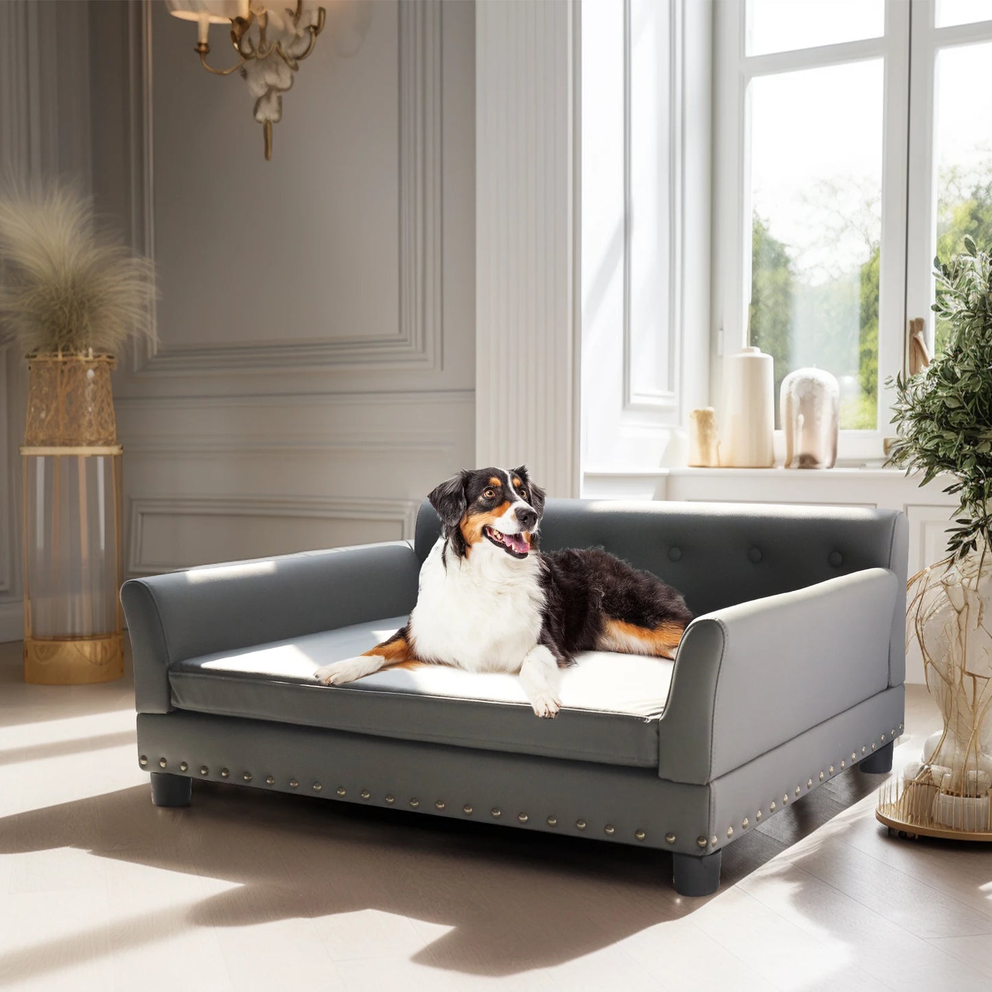 Bingopaw Durable Elevated Rectangle Dog Bed for Living Rooms