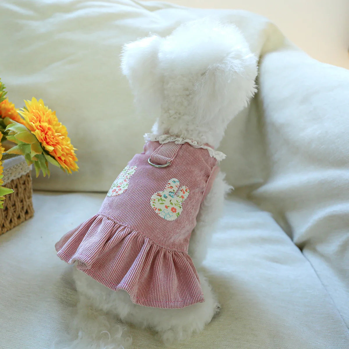 CAIBANCN Pet Dog Dress Cat Princess Wedding Outfit